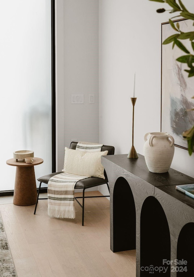 living area featuring light hardwood / wood-style floors