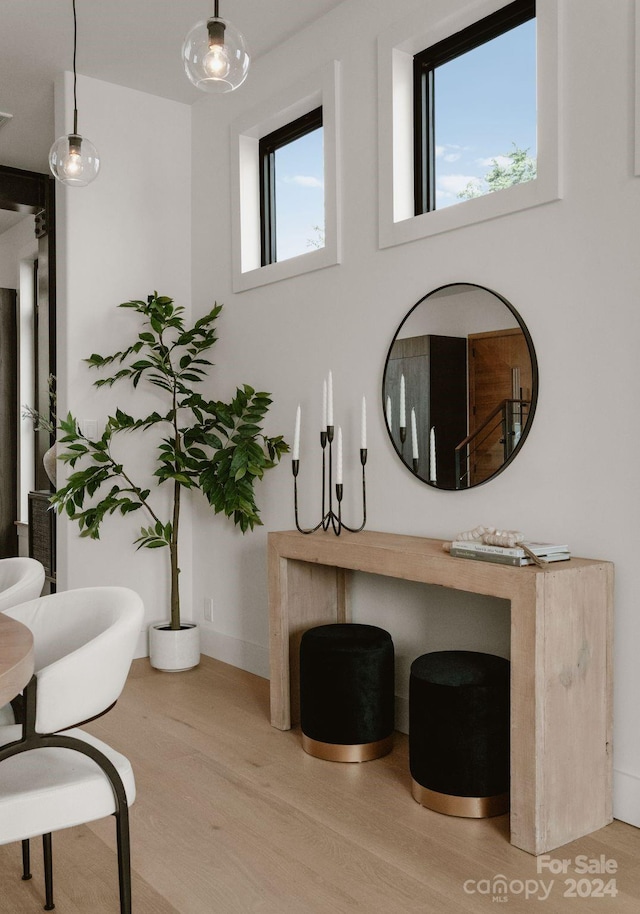 bathroom with hardwood / wood-style flooring