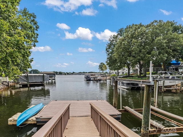 dock area with a water view