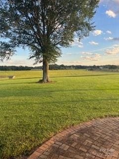 view of yard featuring a rural view