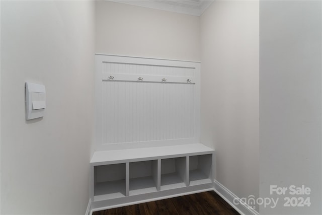 mudroom featuring crown molding and dark wood-type flooring