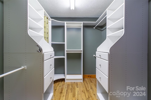 spacious closet with light hardwood / wood-style floors