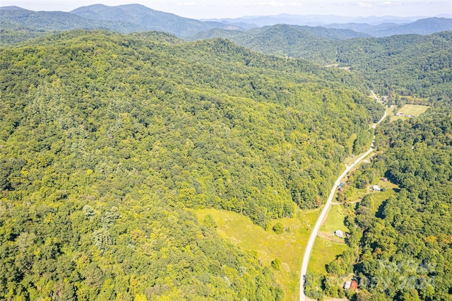 aerial view with a mountain view