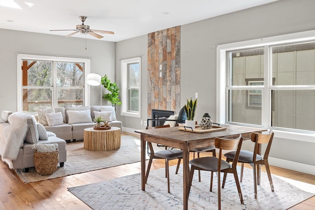 dining space featuring ceiling fan, a fireplace, and light wood-type flooring