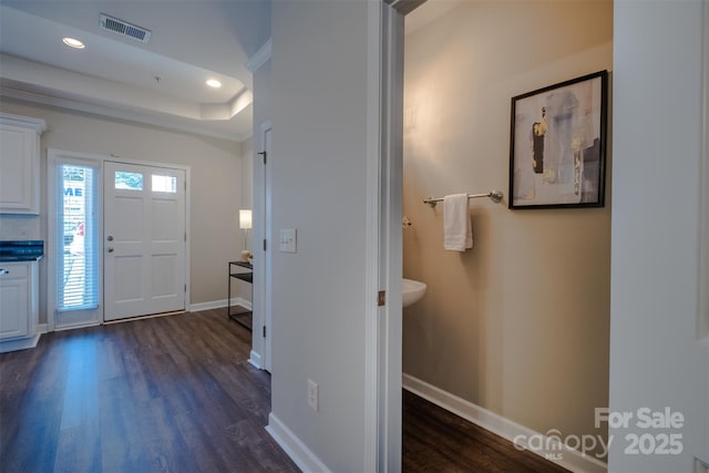 entrance foyer featuring dark wood-type flooring and a raised ceiling