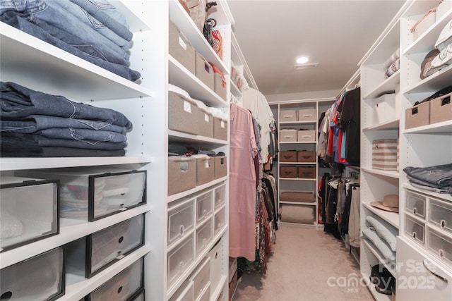 view of spacious closet