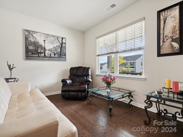 living room featuring dark wood-type flooring