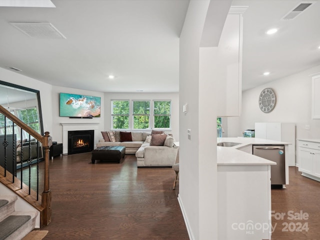 living room with sink, plenty of natural light, and dark hardwood / wood-style flooring