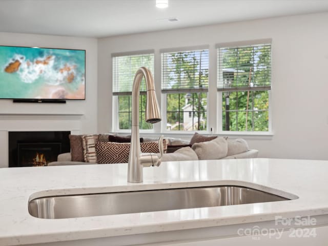 details featuring light stone counters and sink