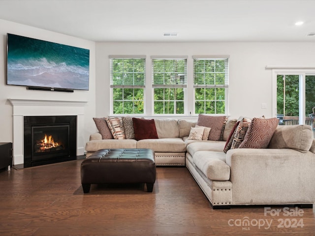 living room featuring a healthy amount of sunlight and dark hardwood / wood-style flooring