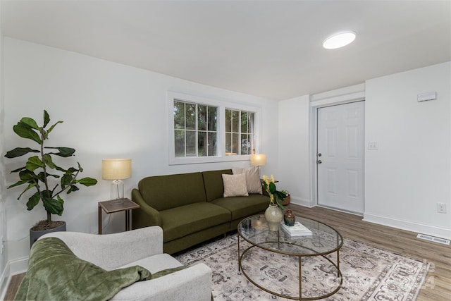 living room with wood-type flooring