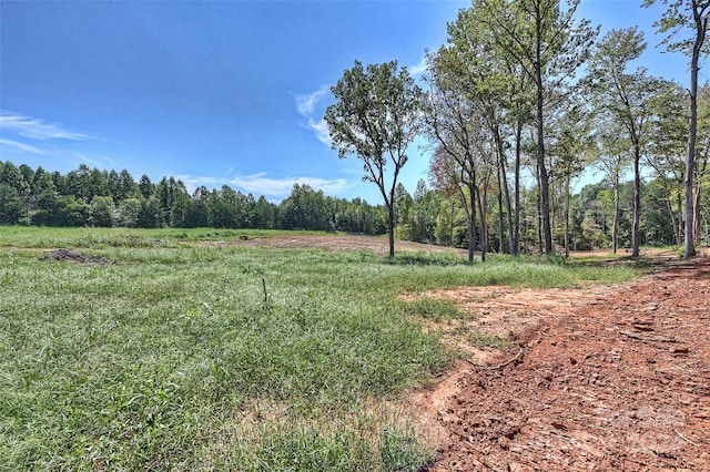 view of local wilderness with a rural view