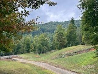 1957 Upper Tuskeegee Rd, Robbinsville, NC 23771 - photo 2