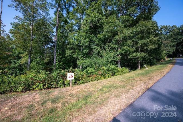 Listing photo 2 for 59 Sweet Fern Pkwy Unit 46, Asheville NC 28804