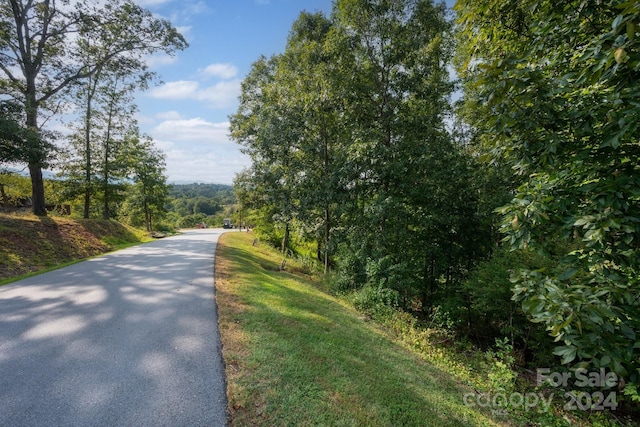 Listing photo 3 for 59 Sweet Fern Pkwy Unit 46, Asheville NC 28804