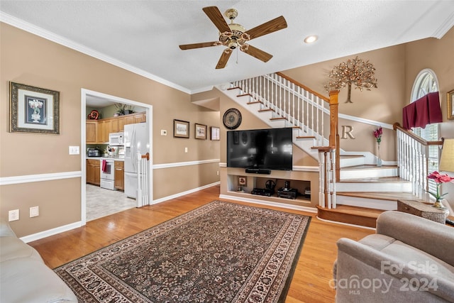 living room with ceiling fan, a textured ceiling, light hardwood / wood-style flooring, and ornamental molding