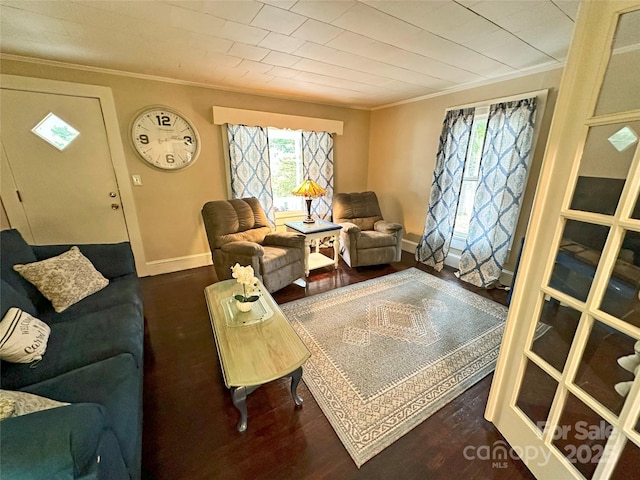 living room with crown molding and dark wood-type flooring