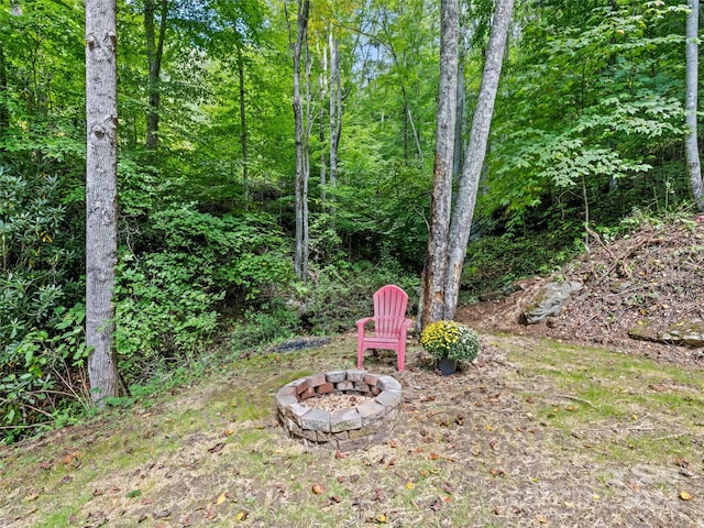 view of yard with an outdoor fire pit