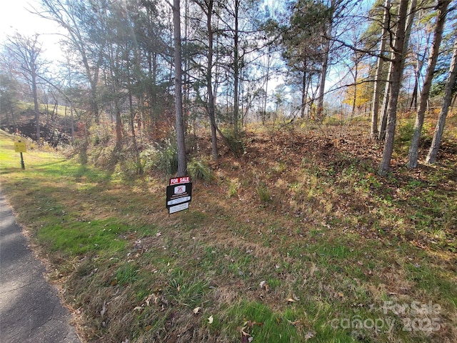 Listing photo 2 for 148 Broken Arrow Dr, Statesville NC 28677