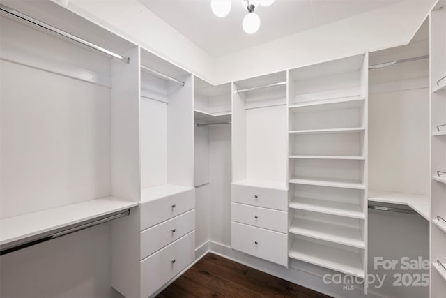 spacious closet with dark wood-type flooring