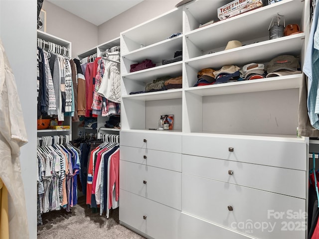 walk in closet with carpet flooring