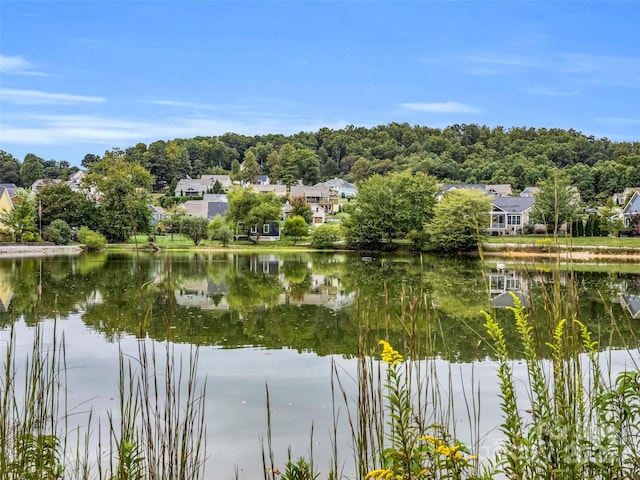 property view of water