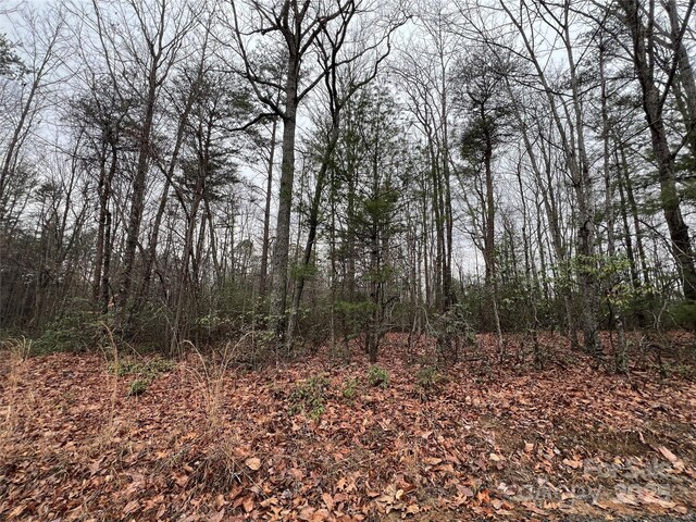 000 Raven Ridge Trl, Dobson, NC 27017