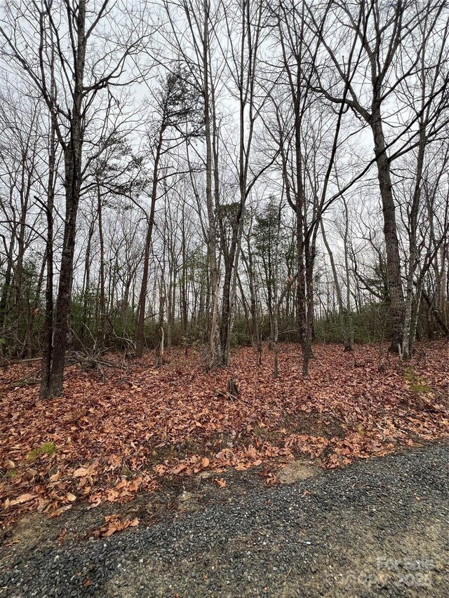 000 Raven Ridge Trl, Dobson, NC 27017