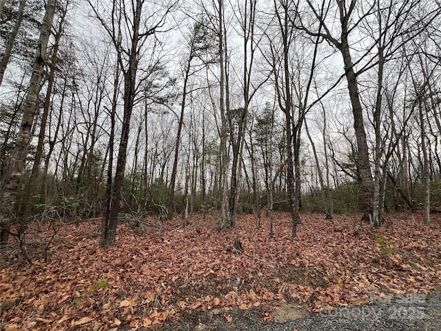 000 Raven Ridge Trl, Dobson, NC 27017