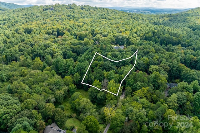 358 Racquet Club Rd, Asheville NC, 28803 land for sale