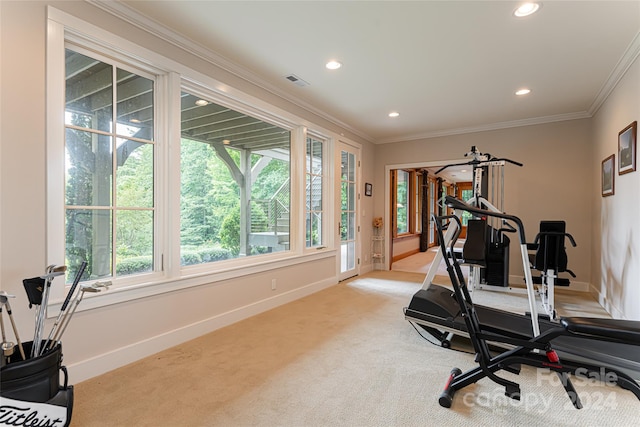 workout room featuring light carpet and ornamental molding