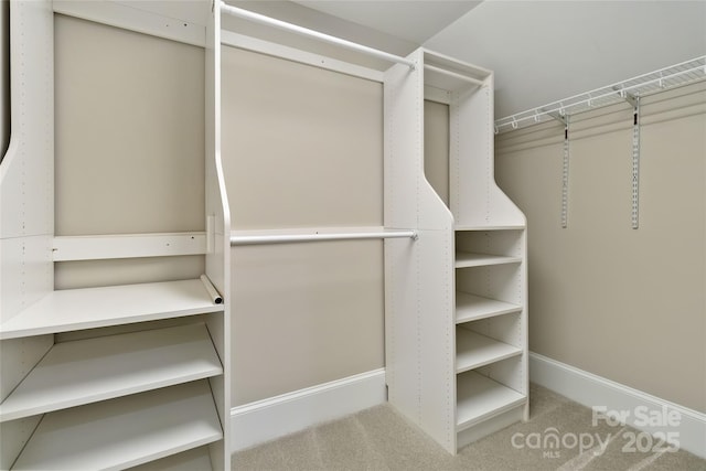 view of spacious closet