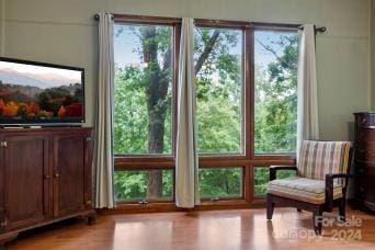 doorway to outside featuring light hardwood / wood-style floors