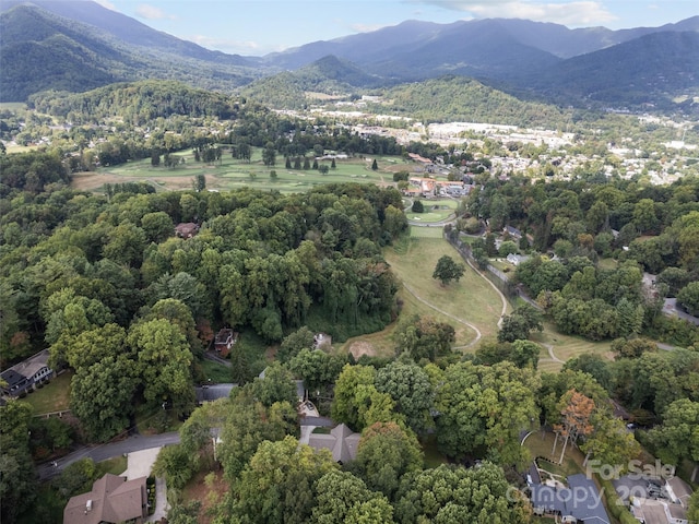 birds eye view of property featuring a mountain view