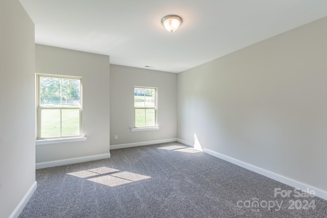 unfurnished room featuring carpet flooring and plenty of natural light