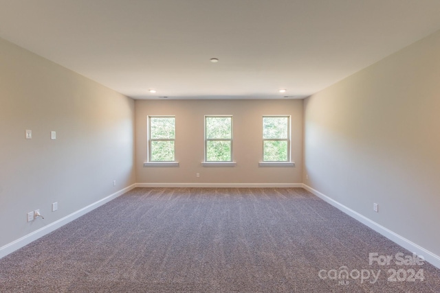 spare room featuring carpet floors and plenty of natural light