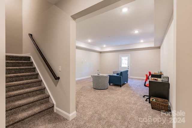 interior space featuring carpet floors and a raised ceiling