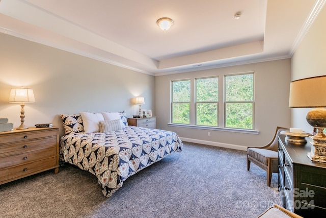 carpeted bedroom featuring crown molding and a tray ceiling