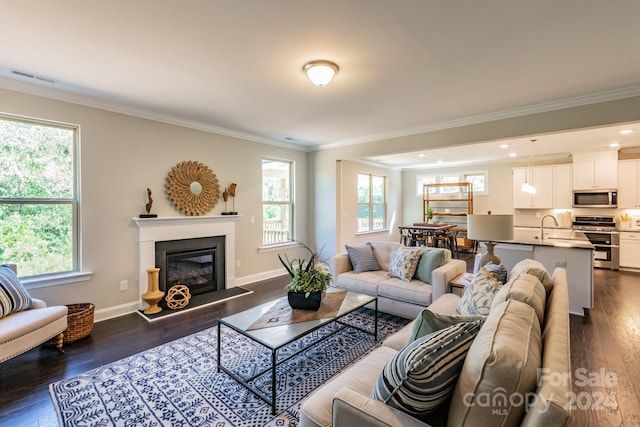 living room with ornamental molding, sink, dark wood-type flooring, and a wealth of natural light