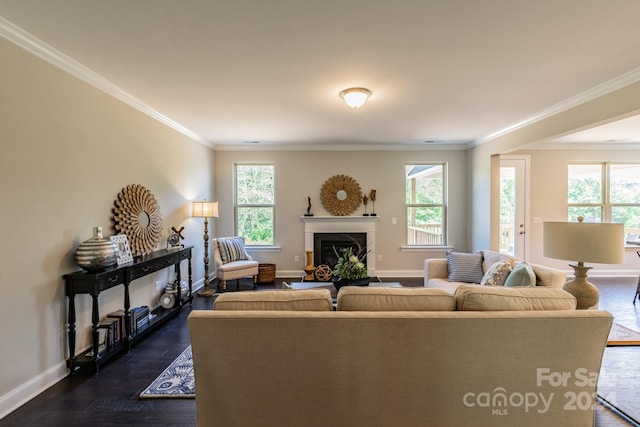 living room with ornamental molding, dark hardwood / wood-style flooring, and a wealth of natural light