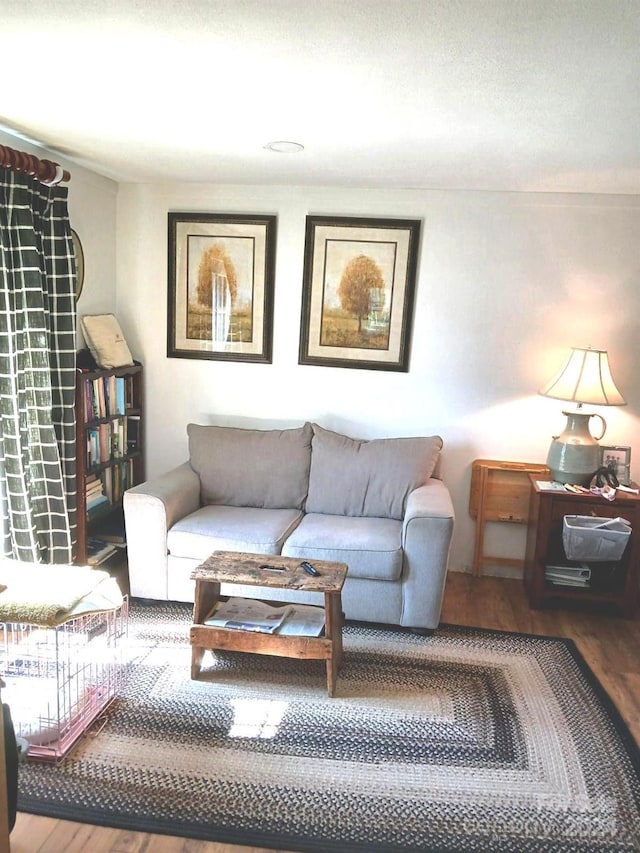 living room with hardwood / wood-style flooring