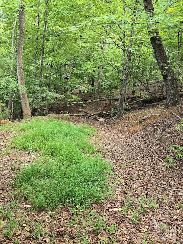 0 Summer Rest Dr Unit 9, Lake Lure, NC 28746