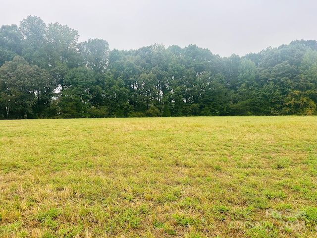 view of yard with a rural view