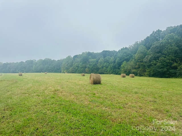 1 Beth Haven Church Rd, Denver, NC 28037 - photo 12