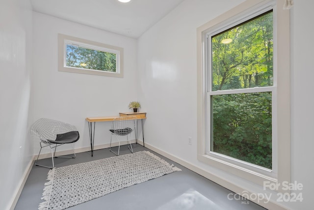 office featuring concrete floors and a wealth of natural light