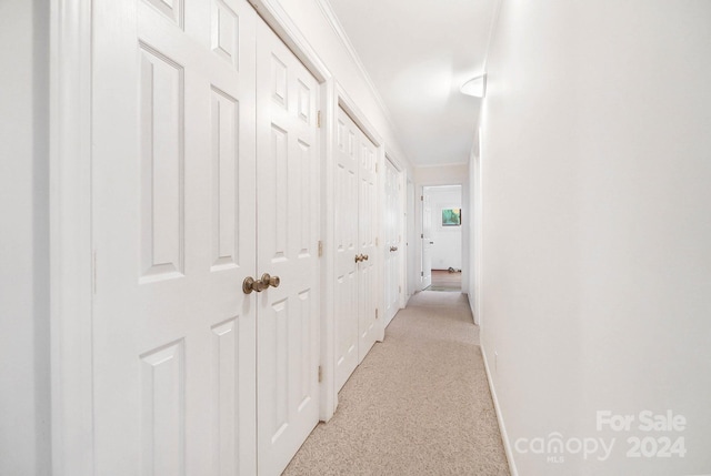 hall featuring ornamental molding and light colored carpet