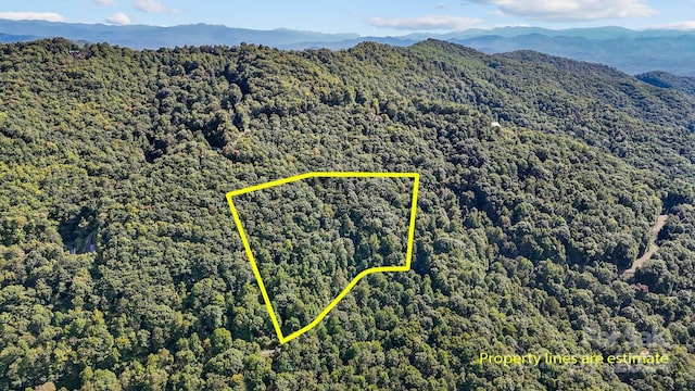 0 Brush Creek Mountain Rd Unit 41, Bryson City NC, 28713 land for sale