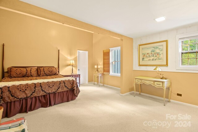 bedroom featuring carpet floors