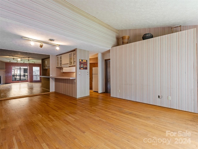 38 Ravencroft Ln Unit E, Asheville, NC 28803 - unfurnished living room featuring light wood finished floors, a textured ceiling, rail lighting, and a brick fireplace