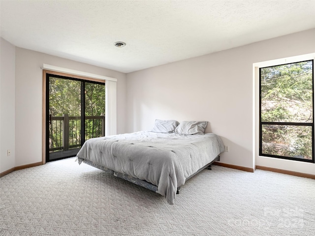 bedroom featuring access to outside, a textured ceiling, carpet, and multiple windows